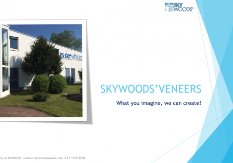 Presentation Corporate Skywoods